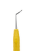 N2