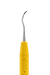 204SD