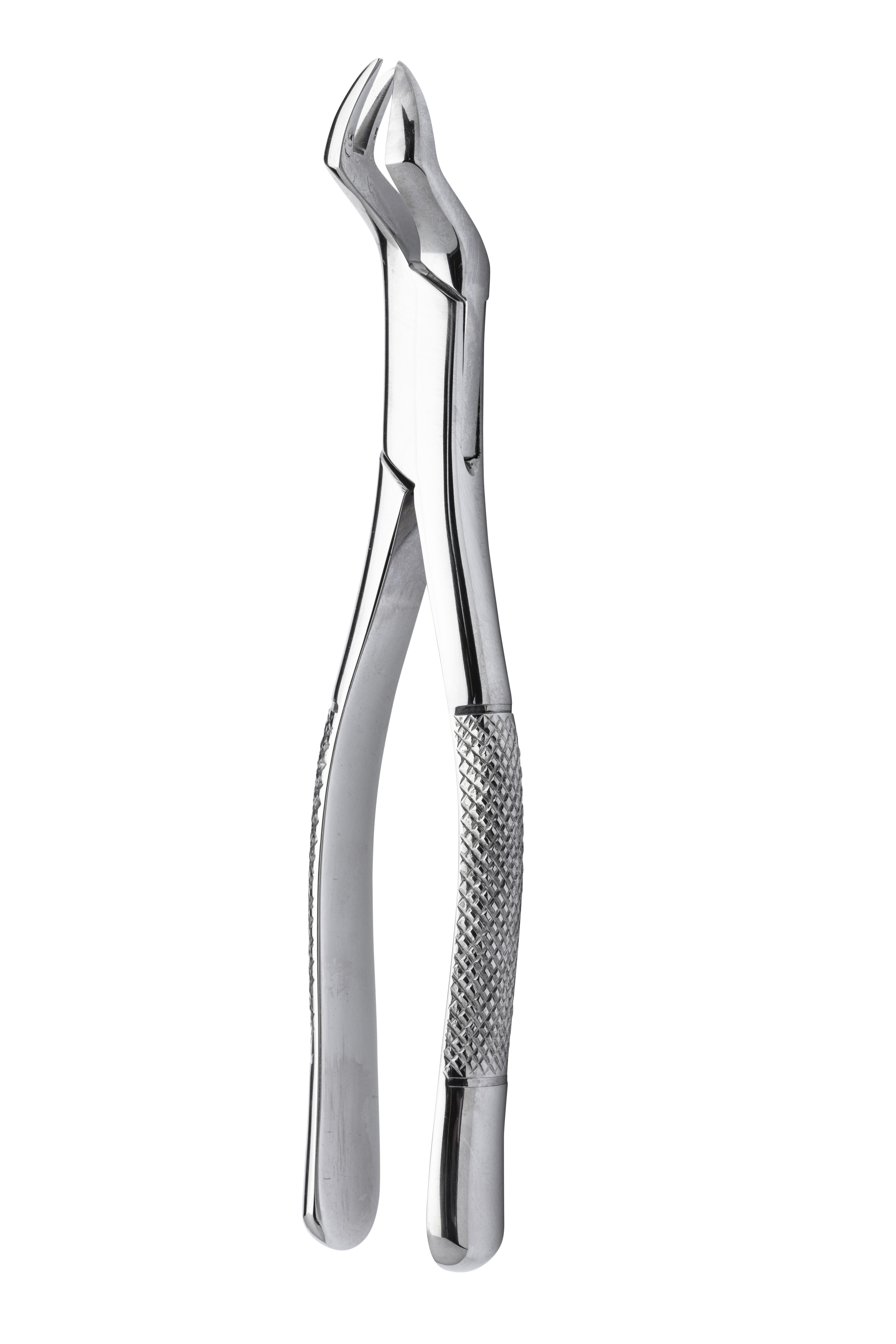 Extracting forceps 88r