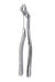 Extracting forceps 88r