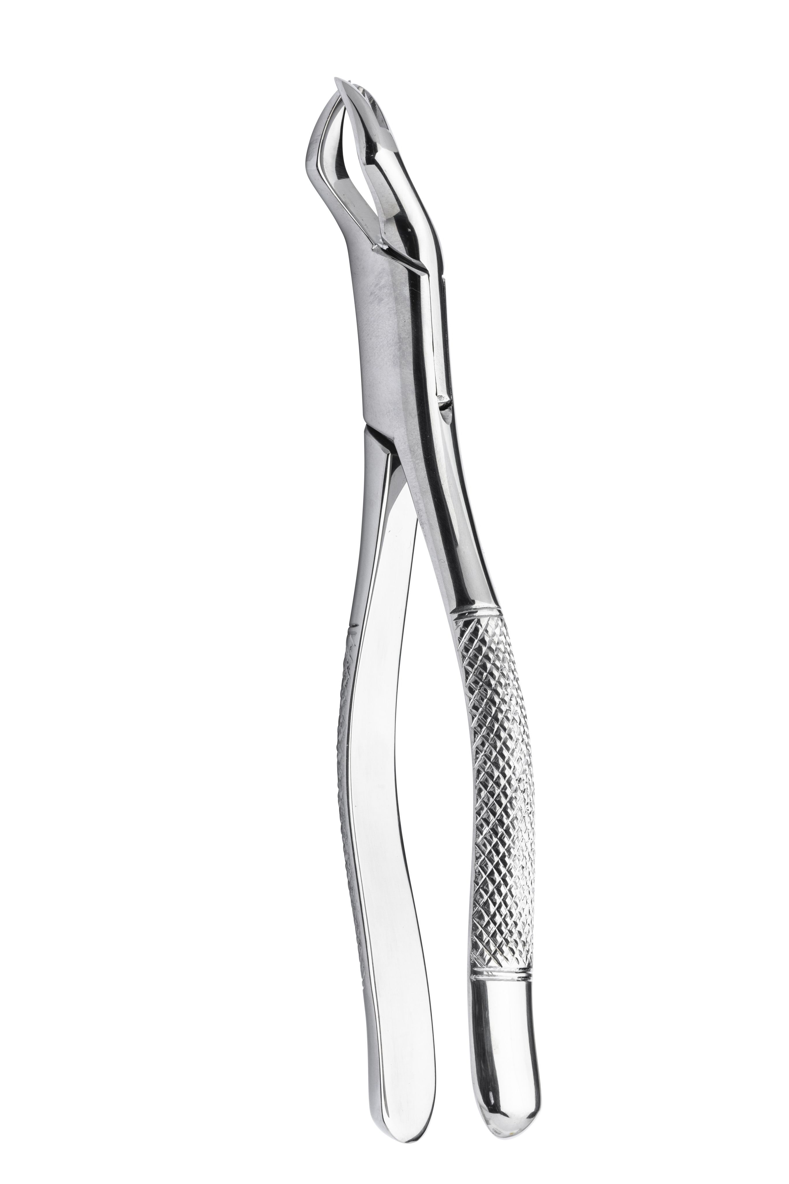 Extracting forceps 88l