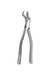 Extracting forceps 88r