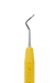204S