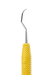 204 IUFW