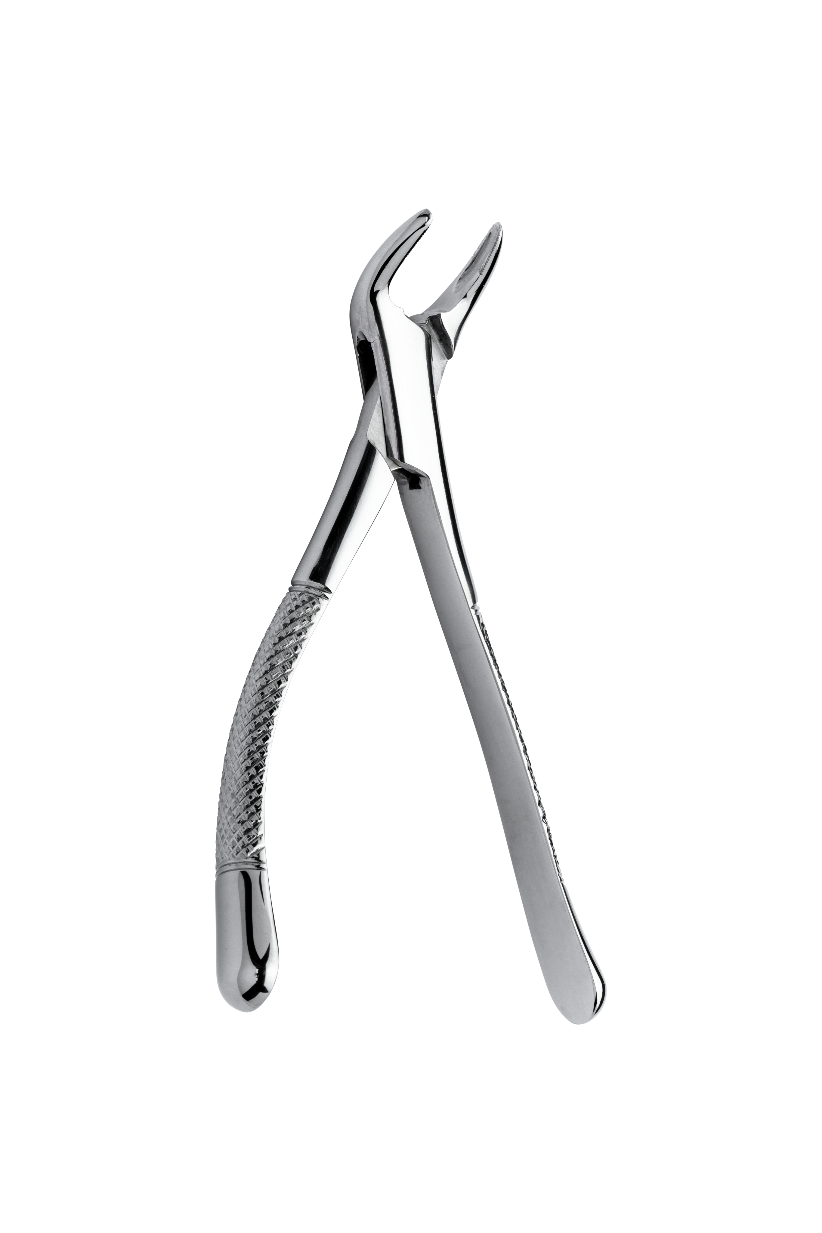 Extracting forceps 151 extra grip