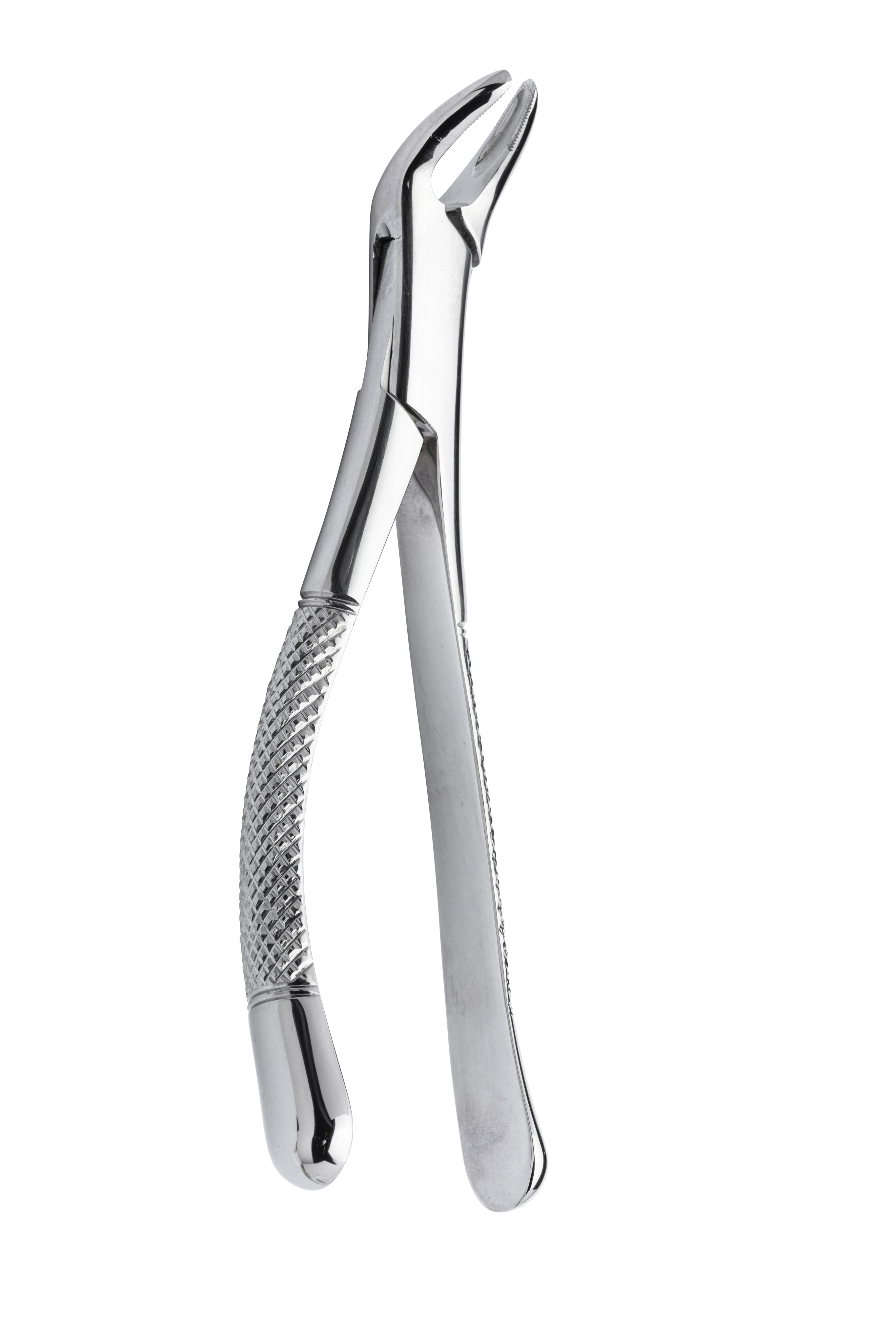 Extracting forceps 151 extra grip