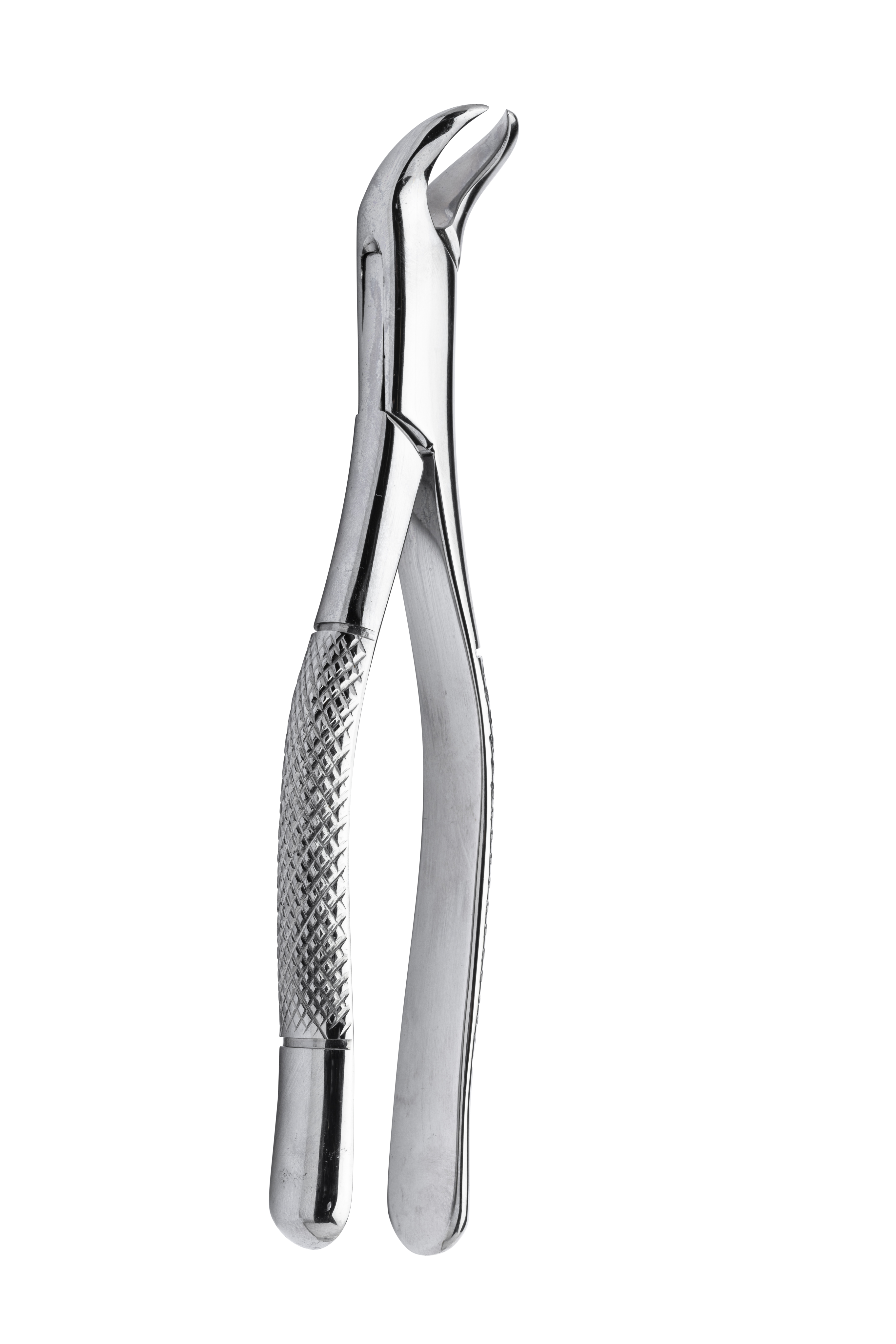 Extracting forceps 23 Cowhorn