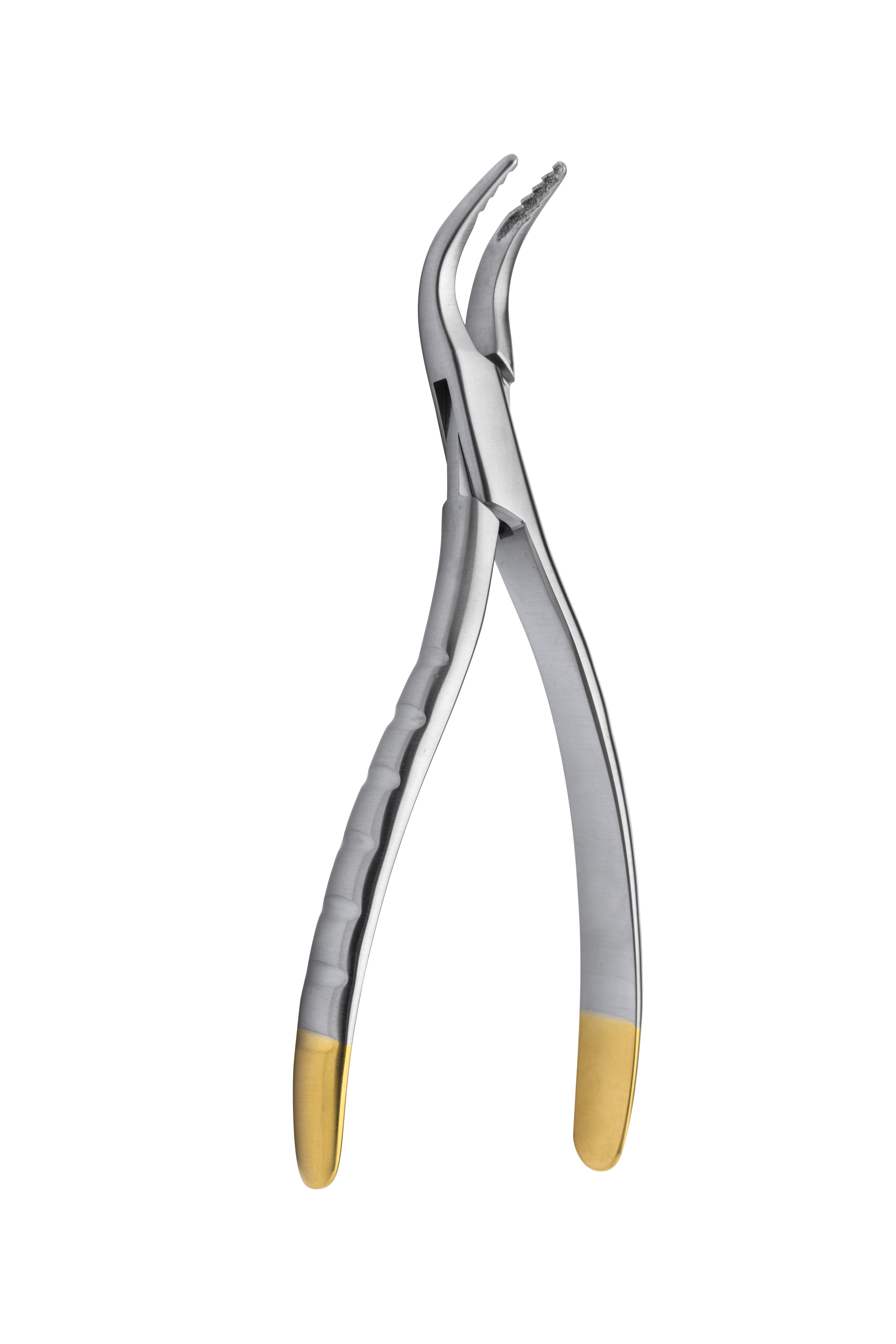Root Forceps TC