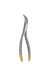 Root Forceps TC