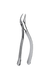 Extracting Forceps 69