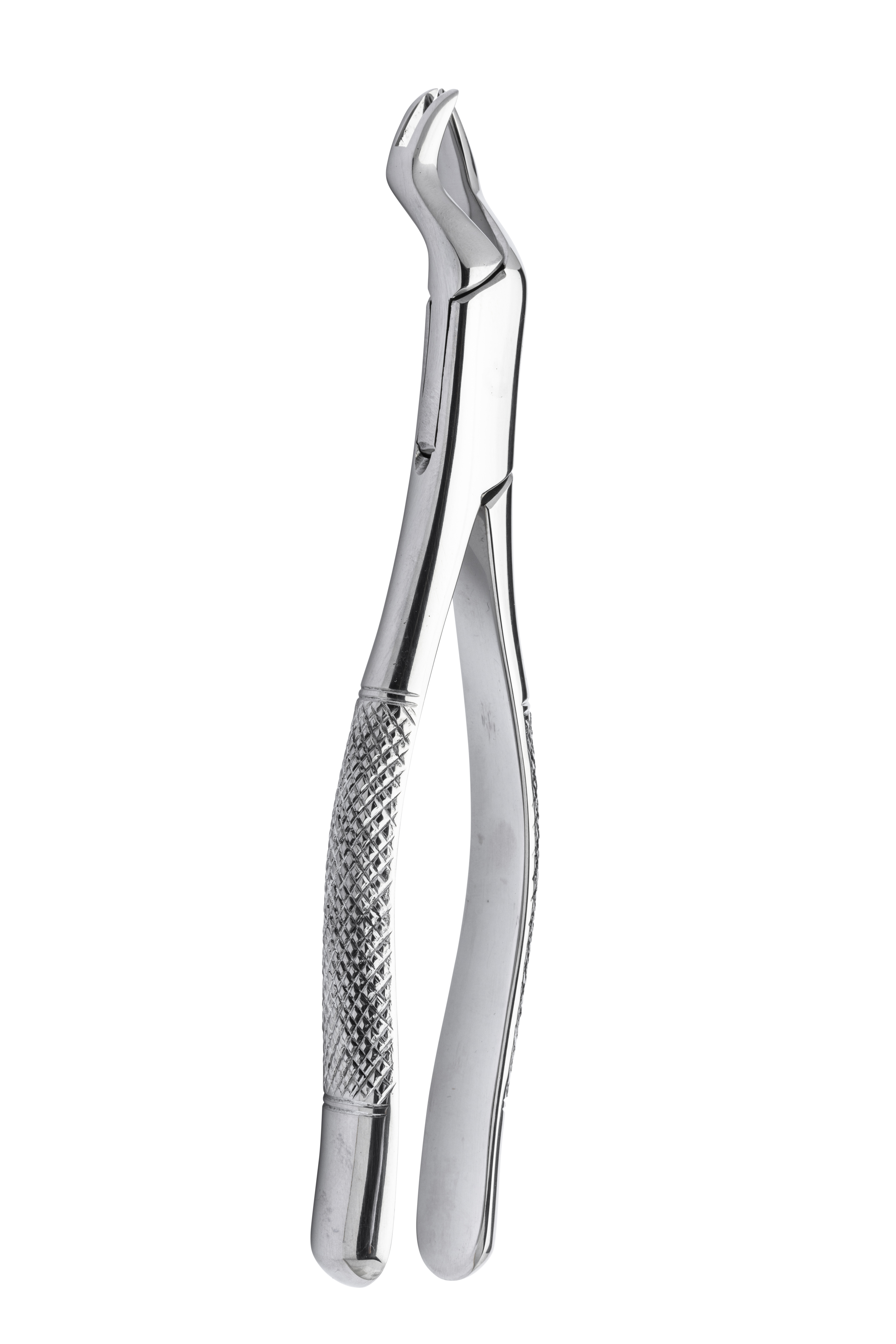 Extracting forceps 88l