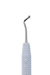 Acorn 21B