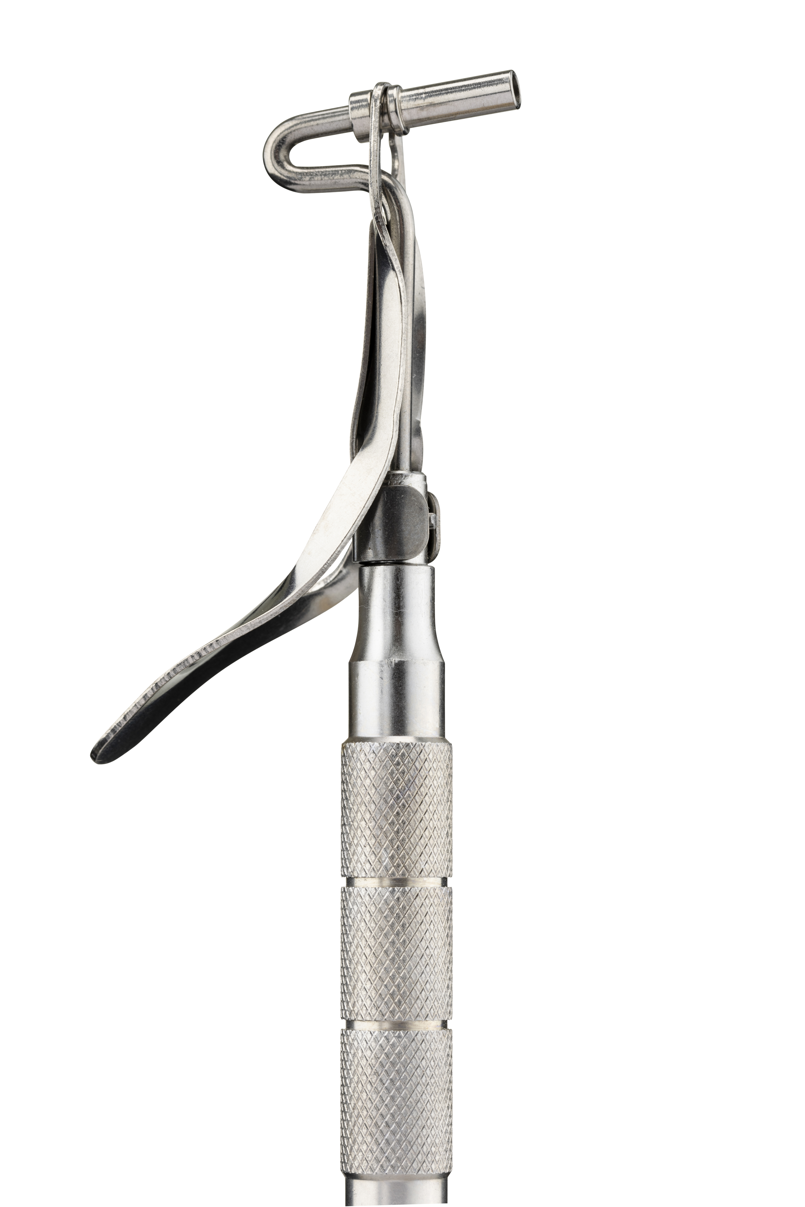 Amalgam Carrier SS DE Regular Large