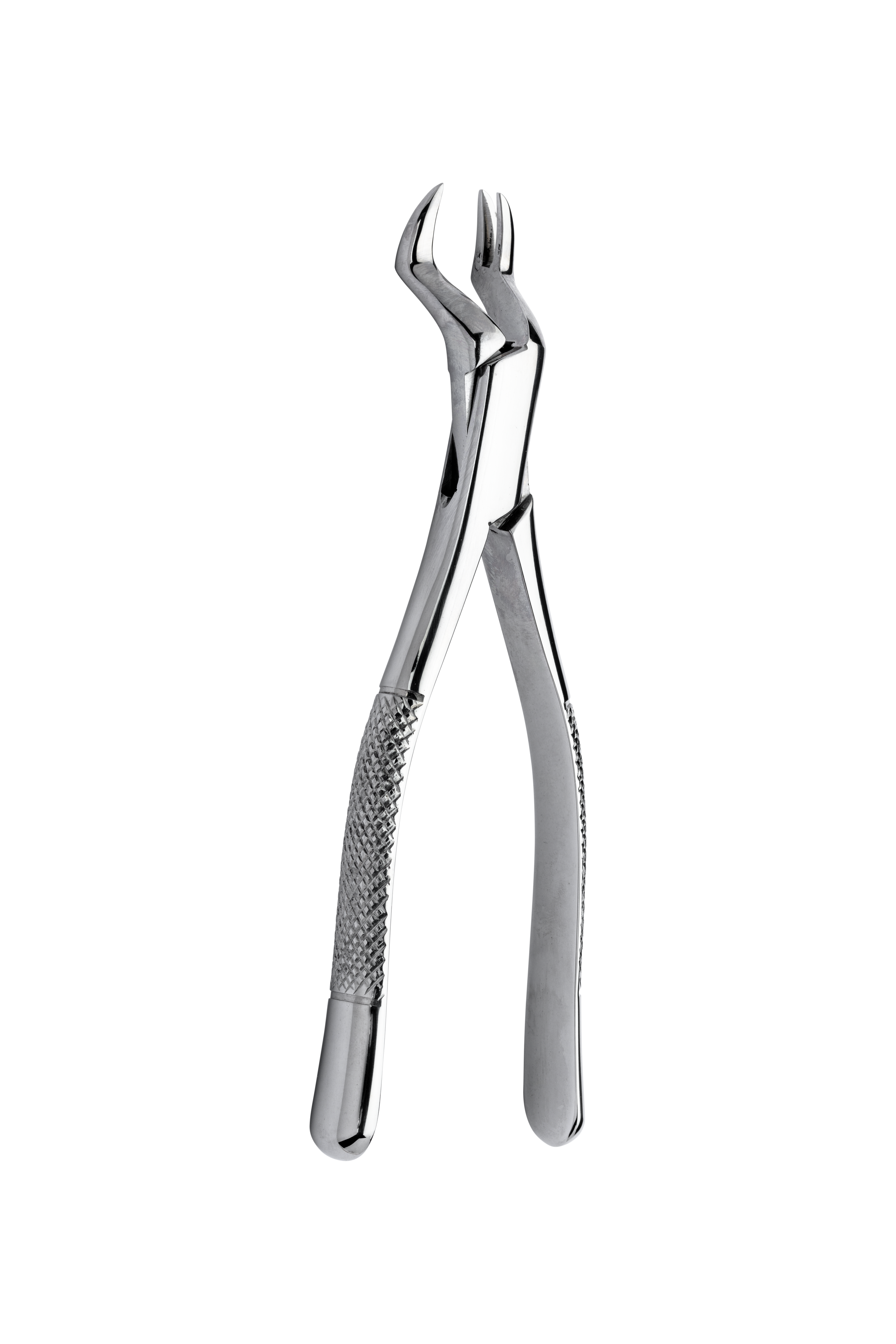 Extracting forceps 88r