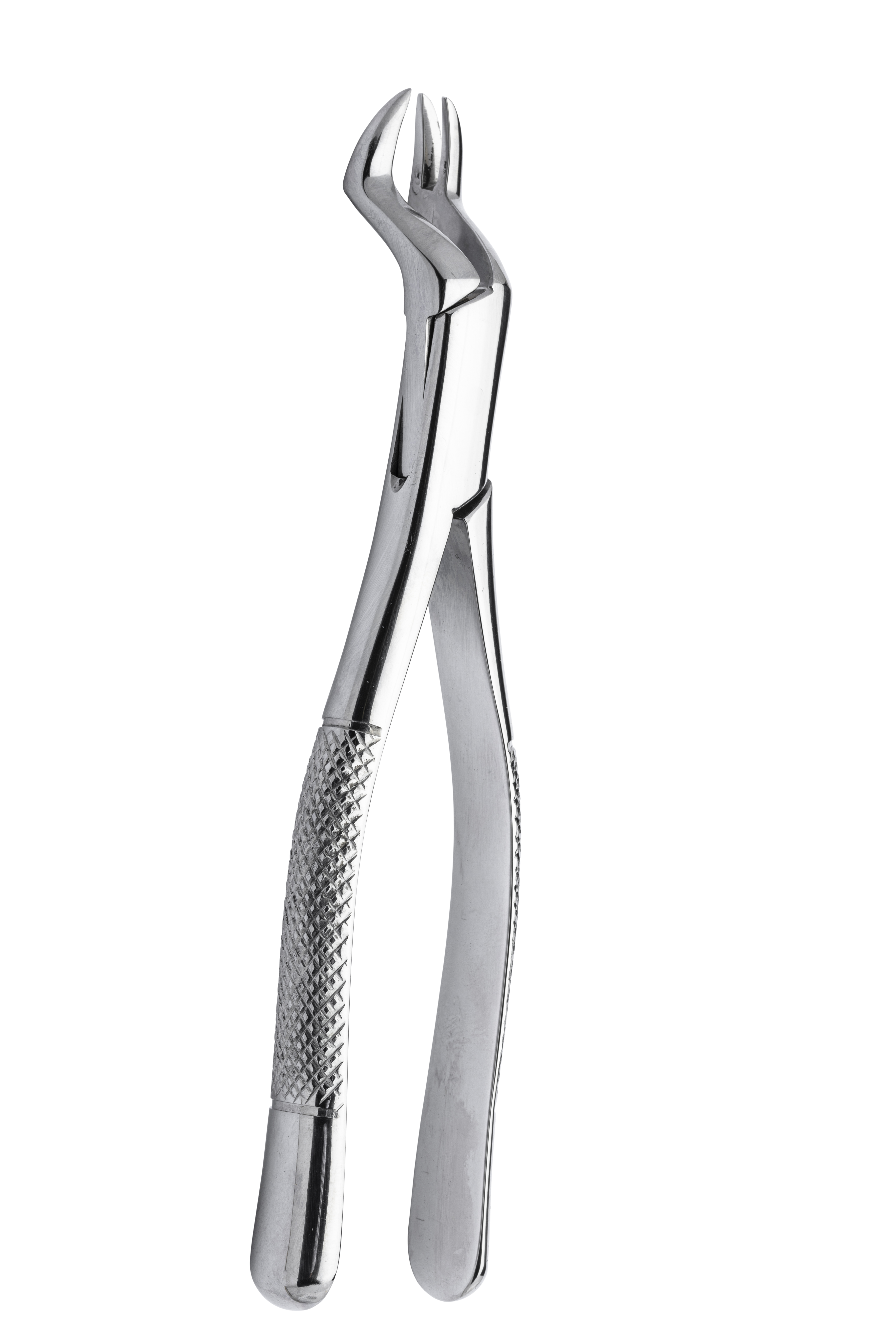 Extracting forceps 88r